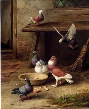 unknow artist Pigeons 194 France oil painting art